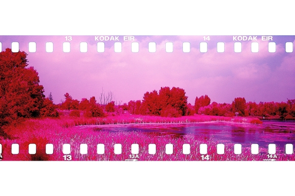 IR_TooGoodPond_with_perfor_small.jpg