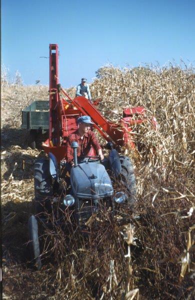 James Albert and Warren Lane Hayslett Corn Harvest 1949 Tippy the Dog next to Albert.jpg