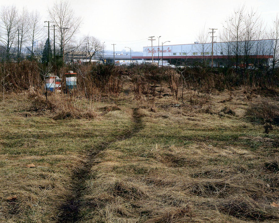 jeff-wall-the-crooked-path-1991.jpg