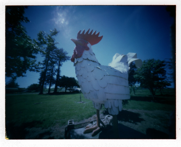 Jewett Chicken.jpg