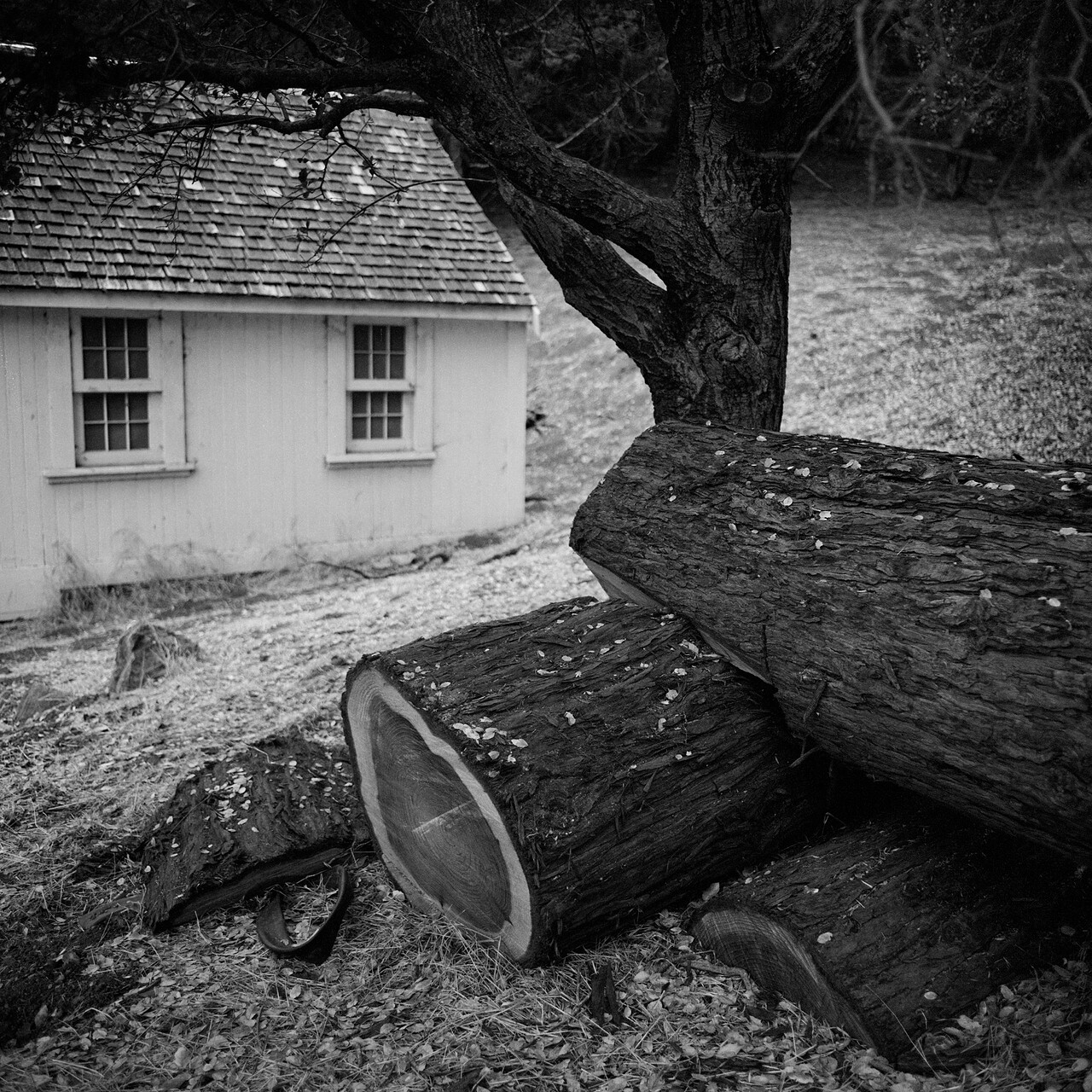 joaquin-cabin-side.jpg