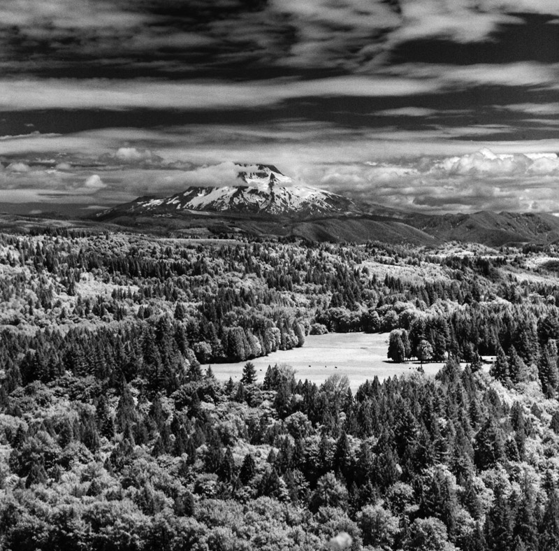 johnsrud_7_2018-5.jpg