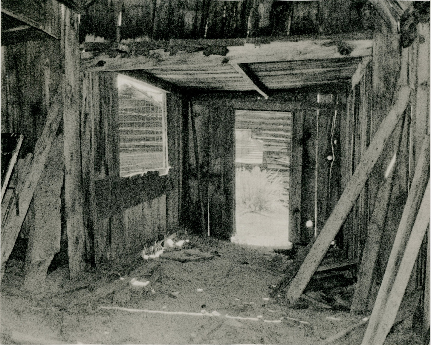 jpegroots111-1010.jpg