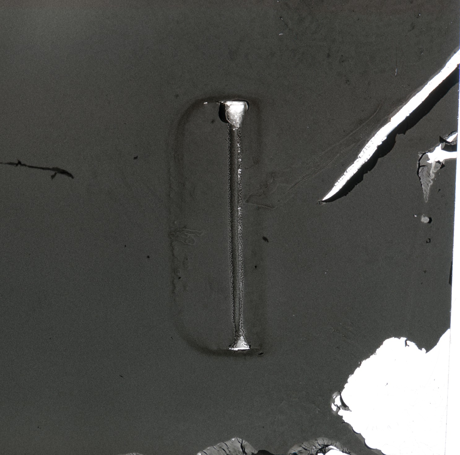 june4_16_ir400_reversal_AA041.jpg