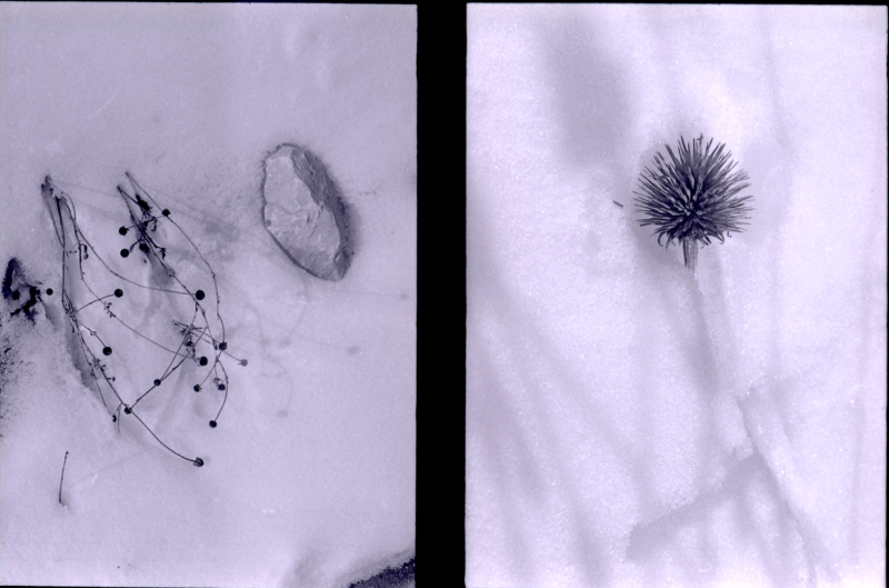 k100_phd18.jpg