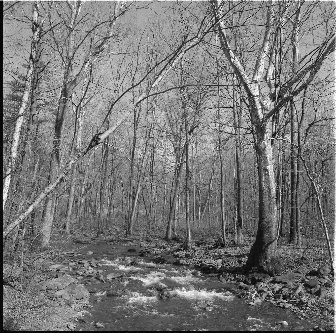 Kentmere 400 D76 1 to 1 68F 25rpm 16m 30 sec003 A.jpg