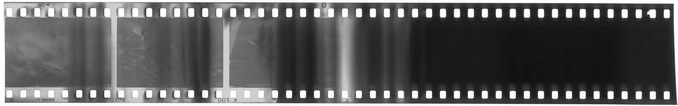 Kentmere100-1S.jpg