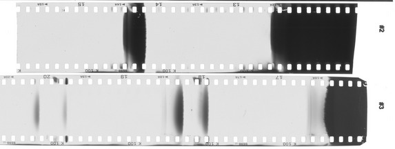 Kentmere100-23S.jpg