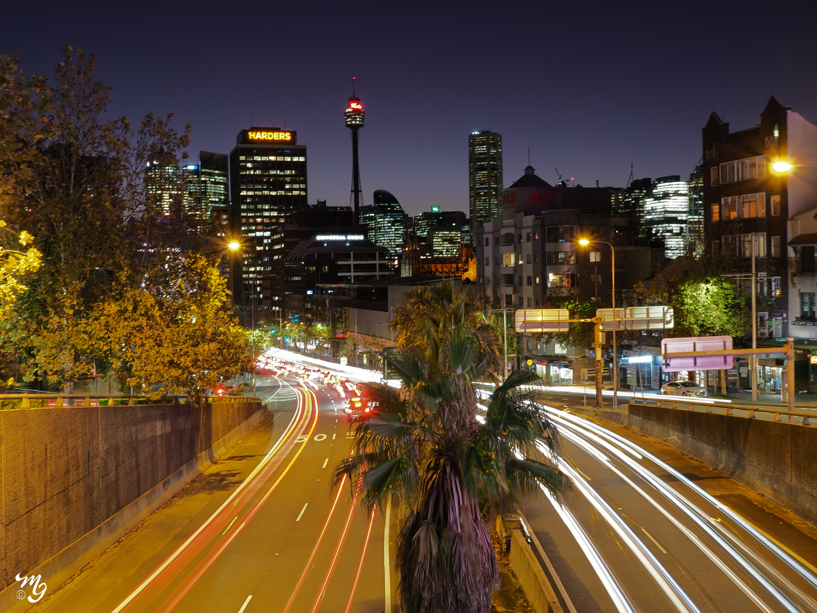 Kings Cross Sydney-2.jpg