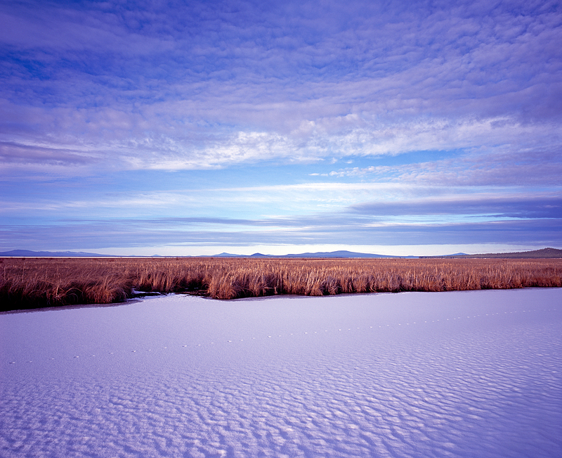 Klamath Wildlife Refuge.jpg