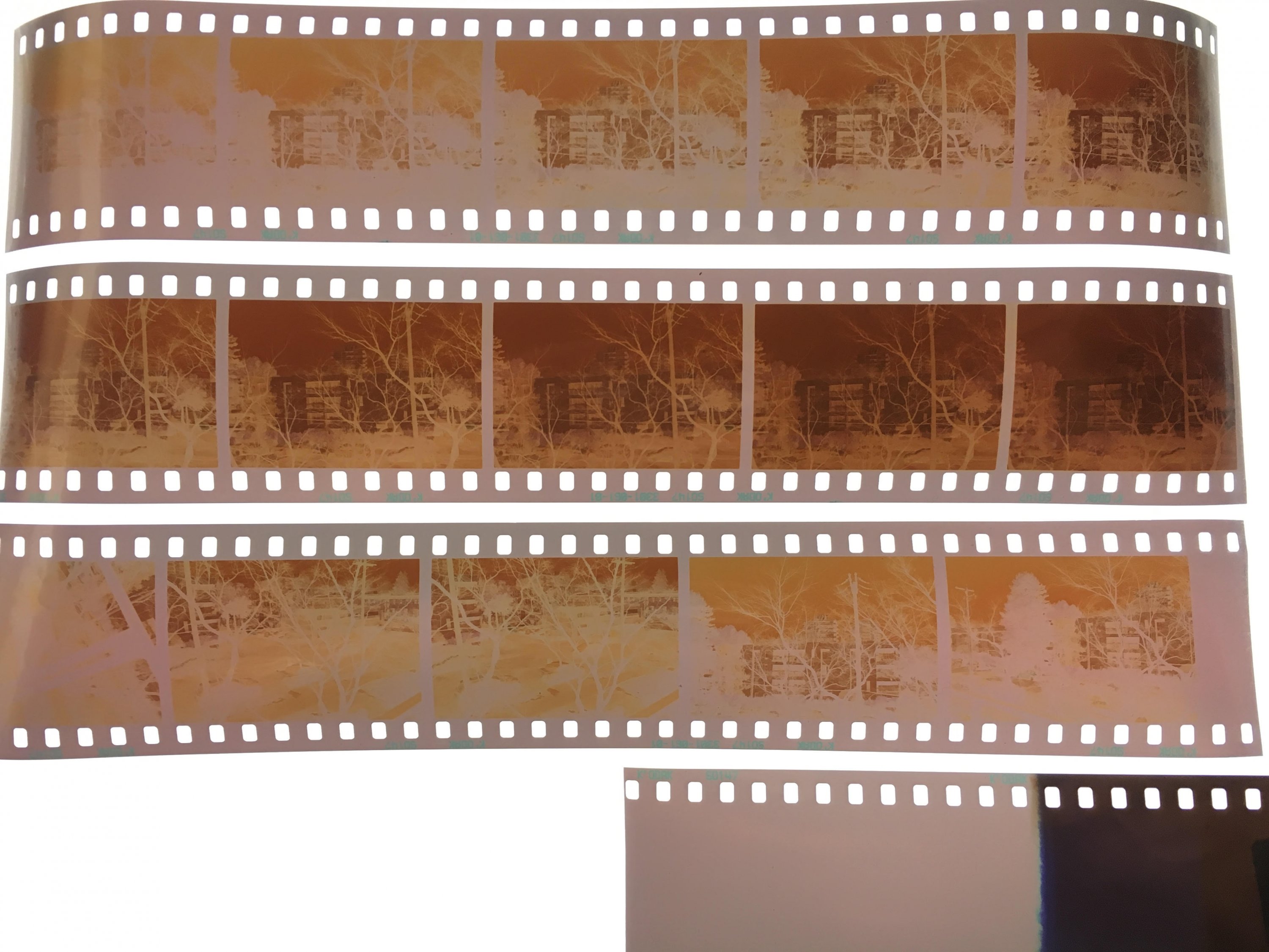 Kodak SO147.jpg