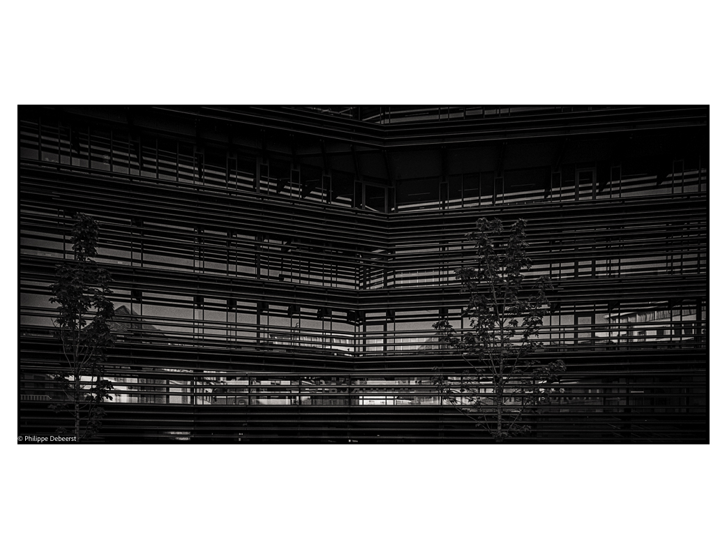 KROOK 013-2.JPG