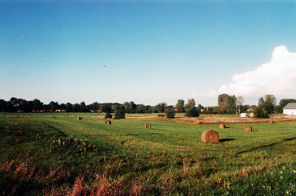 kvr001.jpg