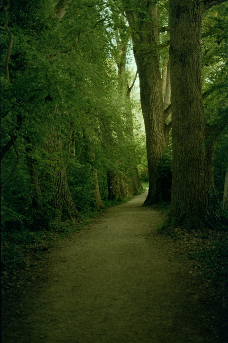 L1.jpg