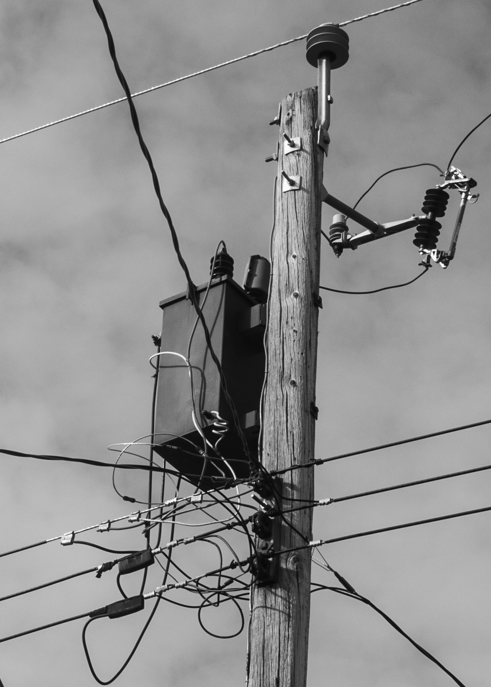 L1008857.jpg