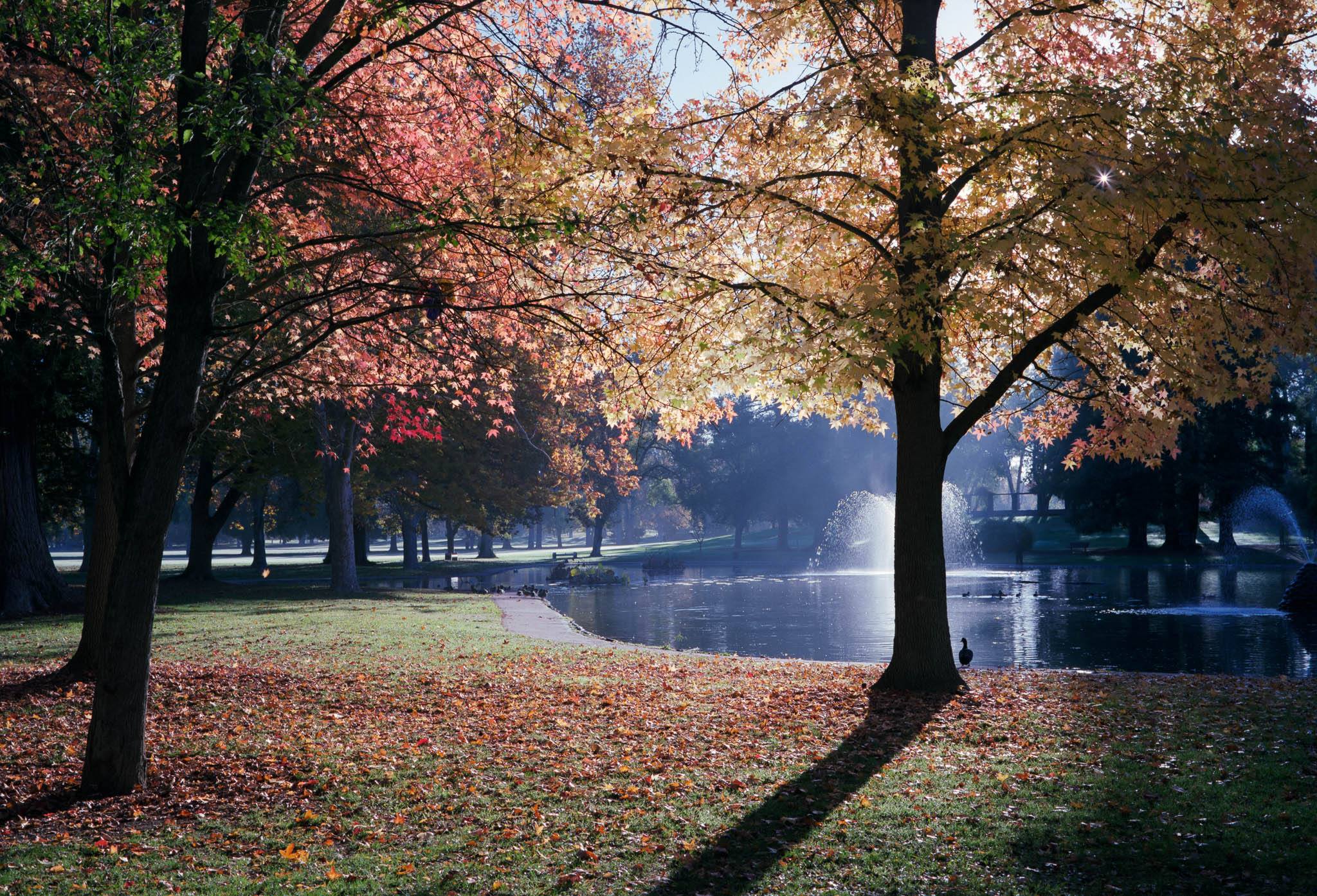land_park_fuji_pro.jpg