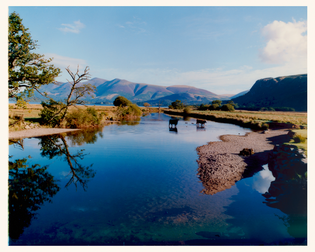 Landscapes Compressed--7.jpg
