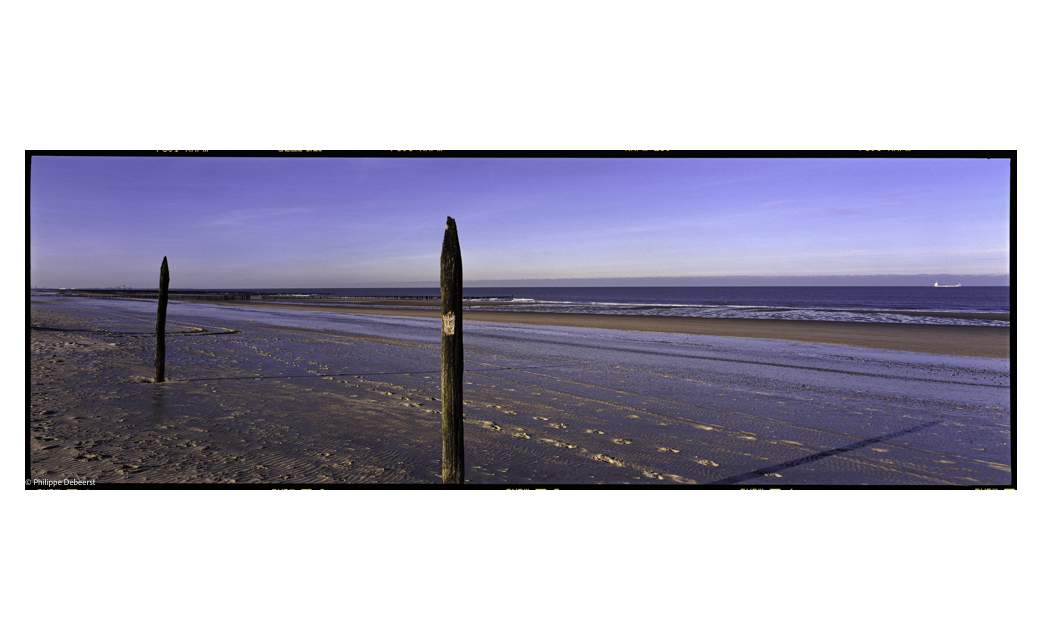 LANDSCHAP 008.JPG