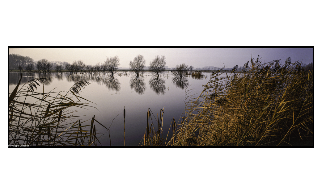 LANDSCHAP 011-2.JPG