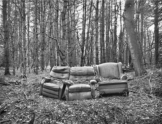 LazyBoy Woods, Hampden C.jpg
