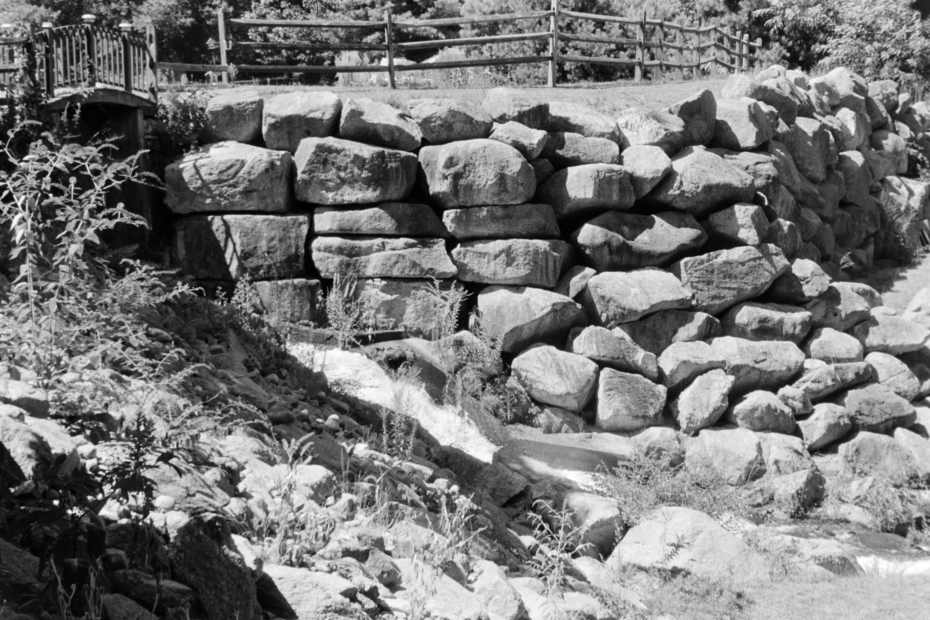 LEB_4151-1.jpg