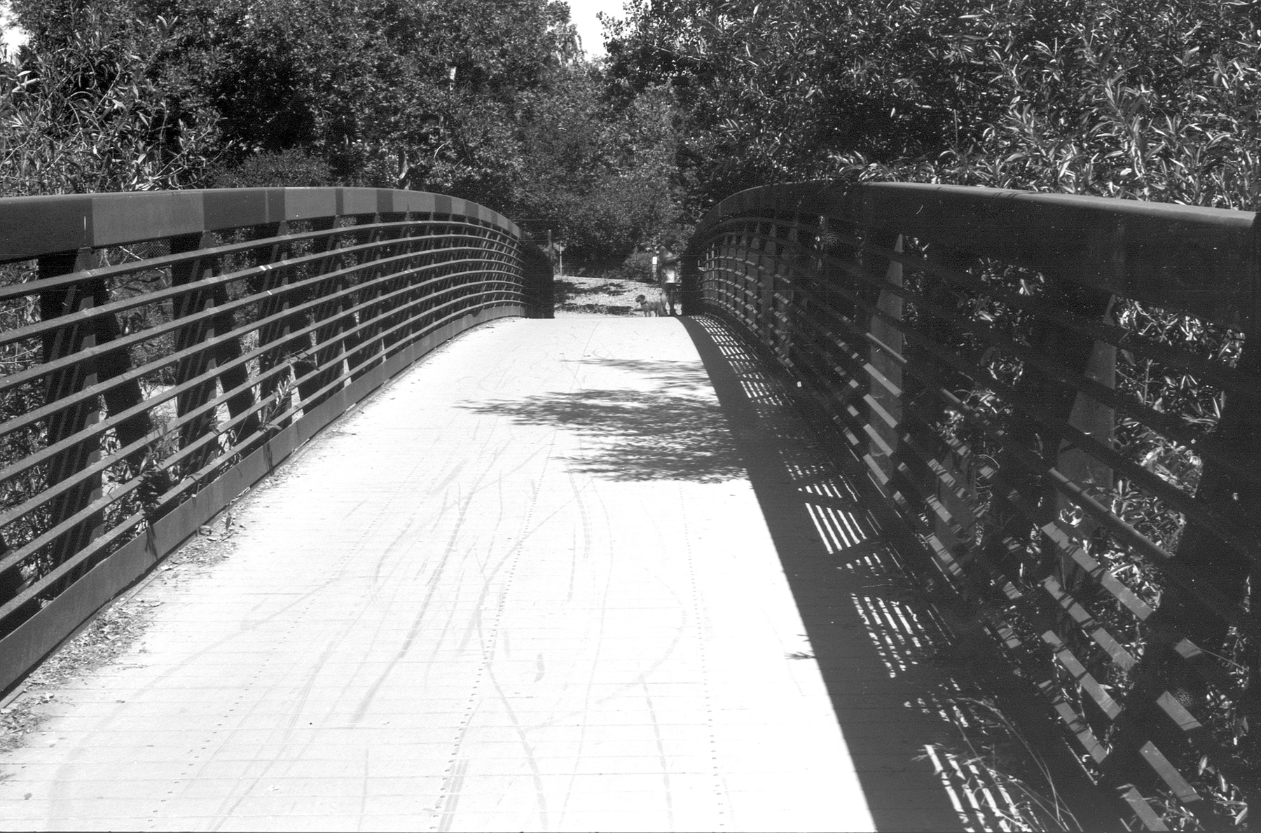 Leica IIIf Film Ferrania at 100 HC110 bridge.jpg