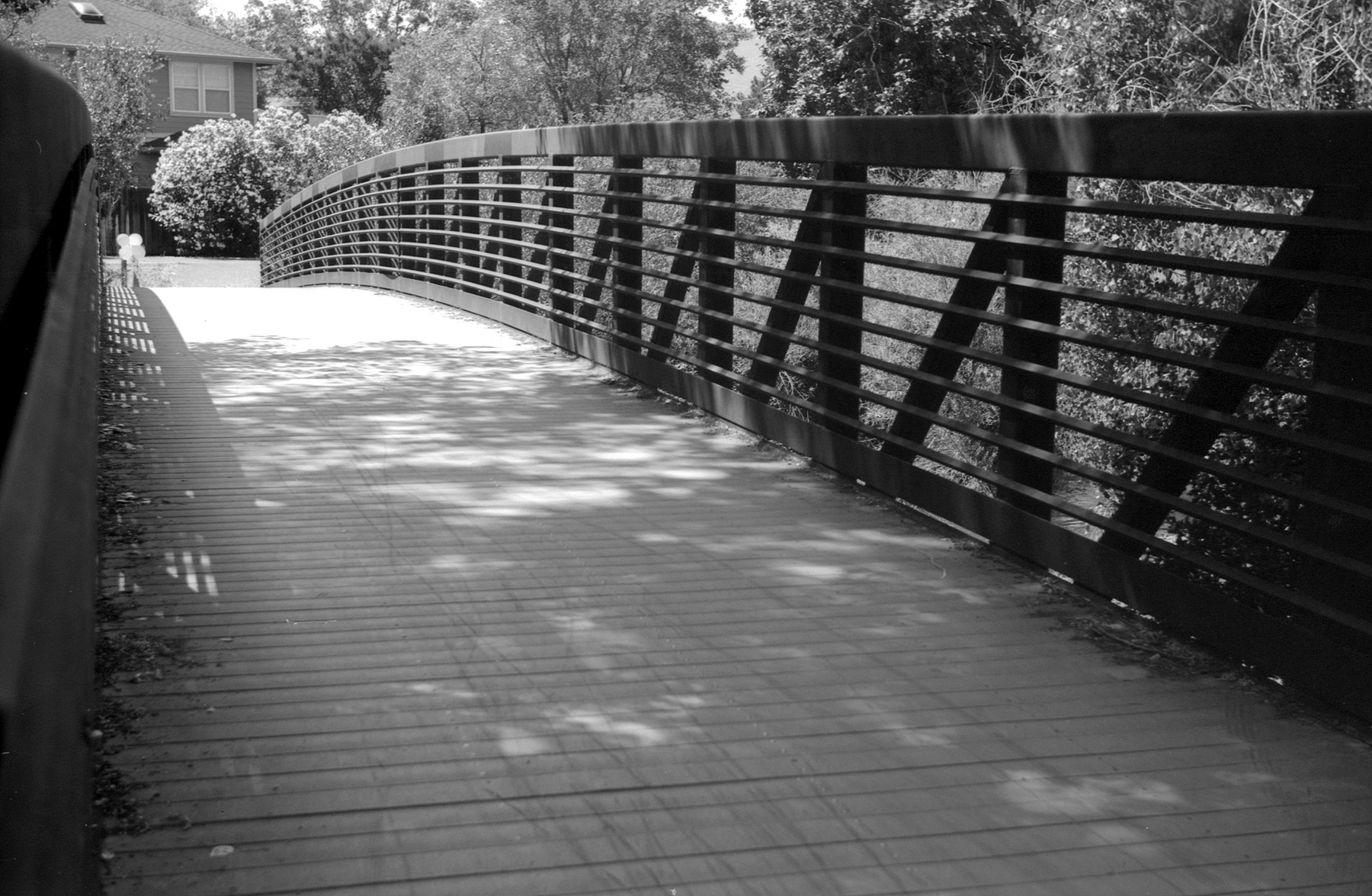 Leica IIIf Film Ferrania at 25 HC110 bridge.jpg