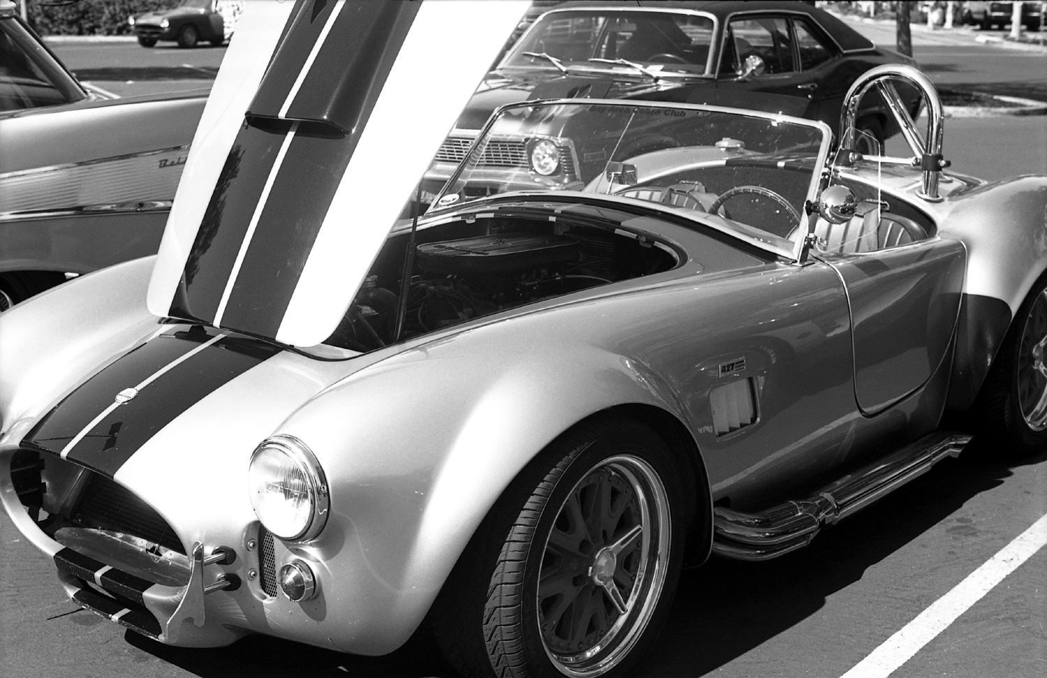 Leica IIIg Elmar 2.8 Film Ferrania at 80asa Paranol S Cobra.jpg
