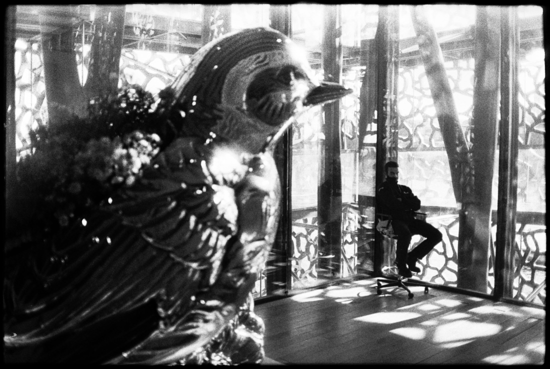 Leica_M2_Tacky_Koons_IV_The_cage.jpg