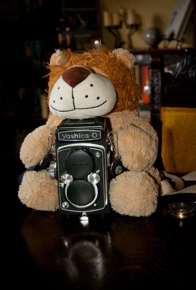 Leo and Yashica D.jpg