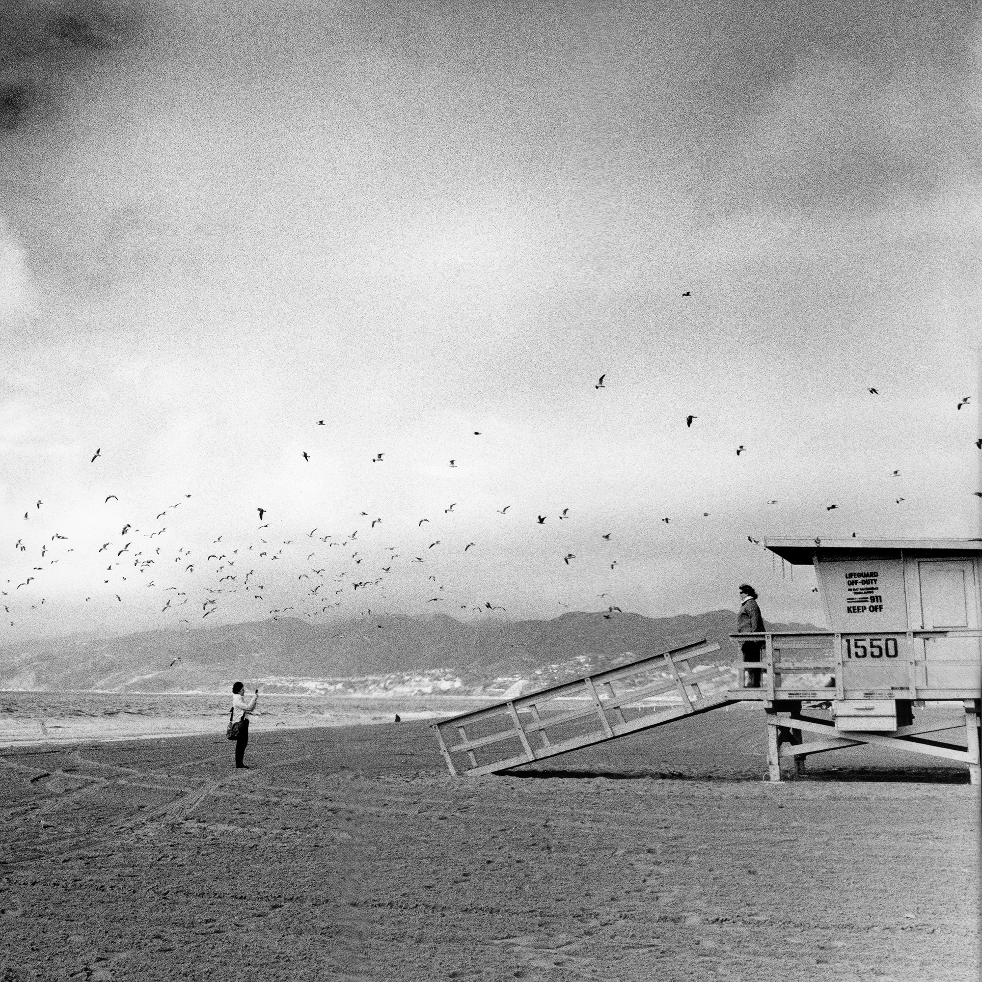 LifeGuard Sta iphone crop_3.jpg