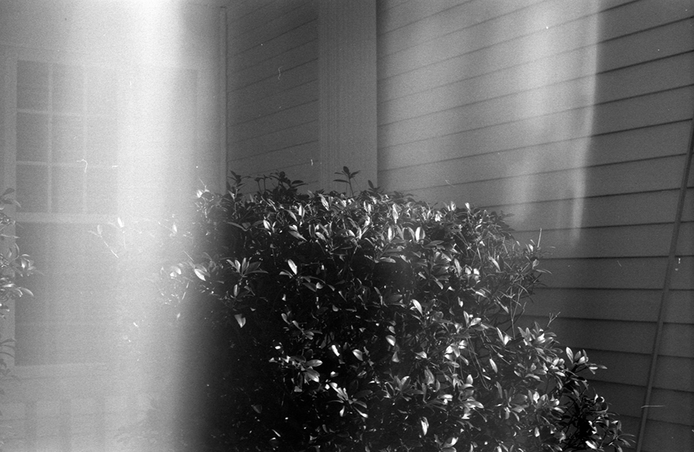Light leak.jpg