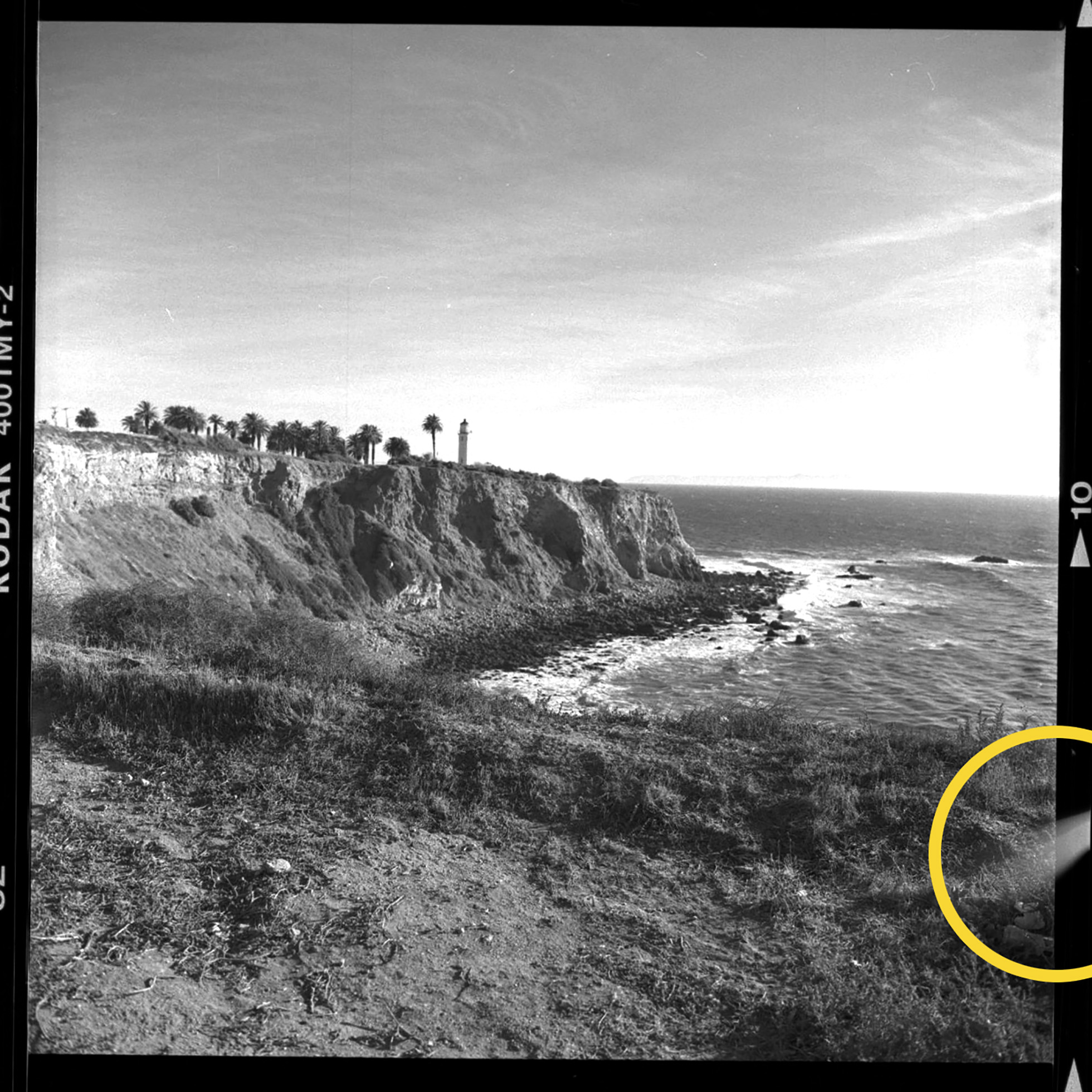 Light leak sample frame.jpg