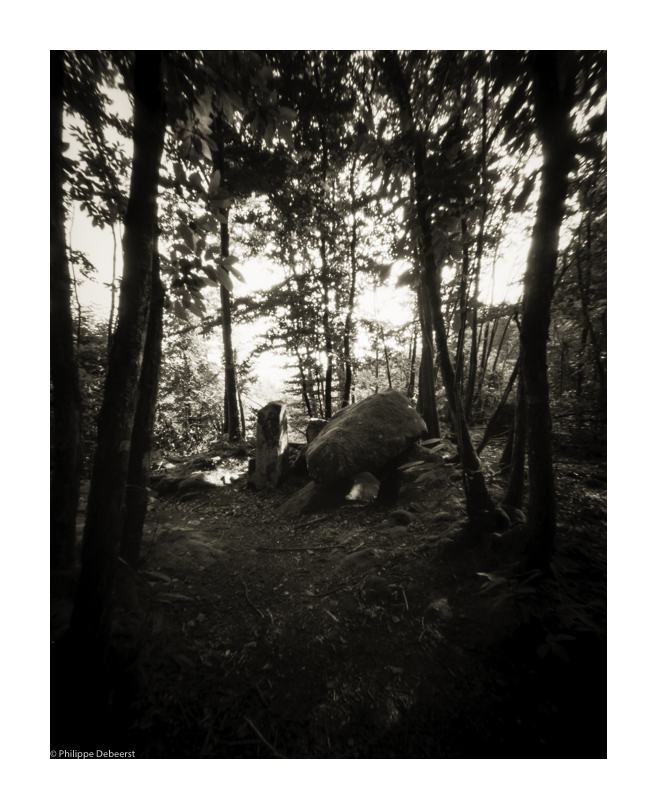 LIMOUSIN 2008 02.JPG