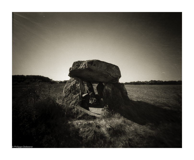 LIMOUSIN 2008 07.JPG