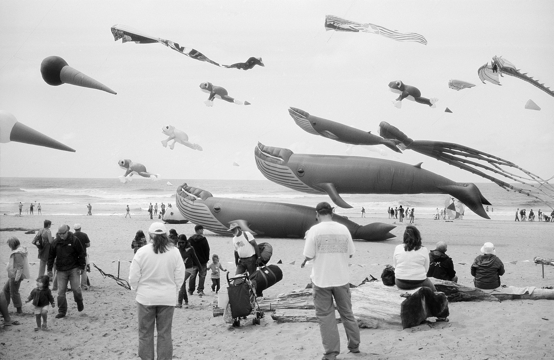 LincolnCityKites-2.jpg