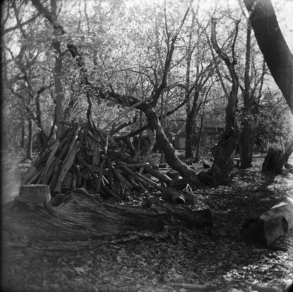 Log pile.jpg