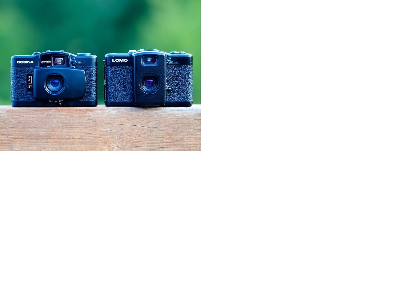 lomo.jpg