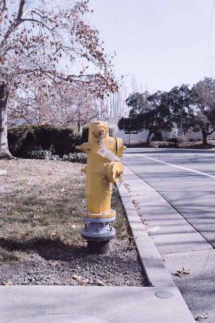 LOMO_0035.jpg
