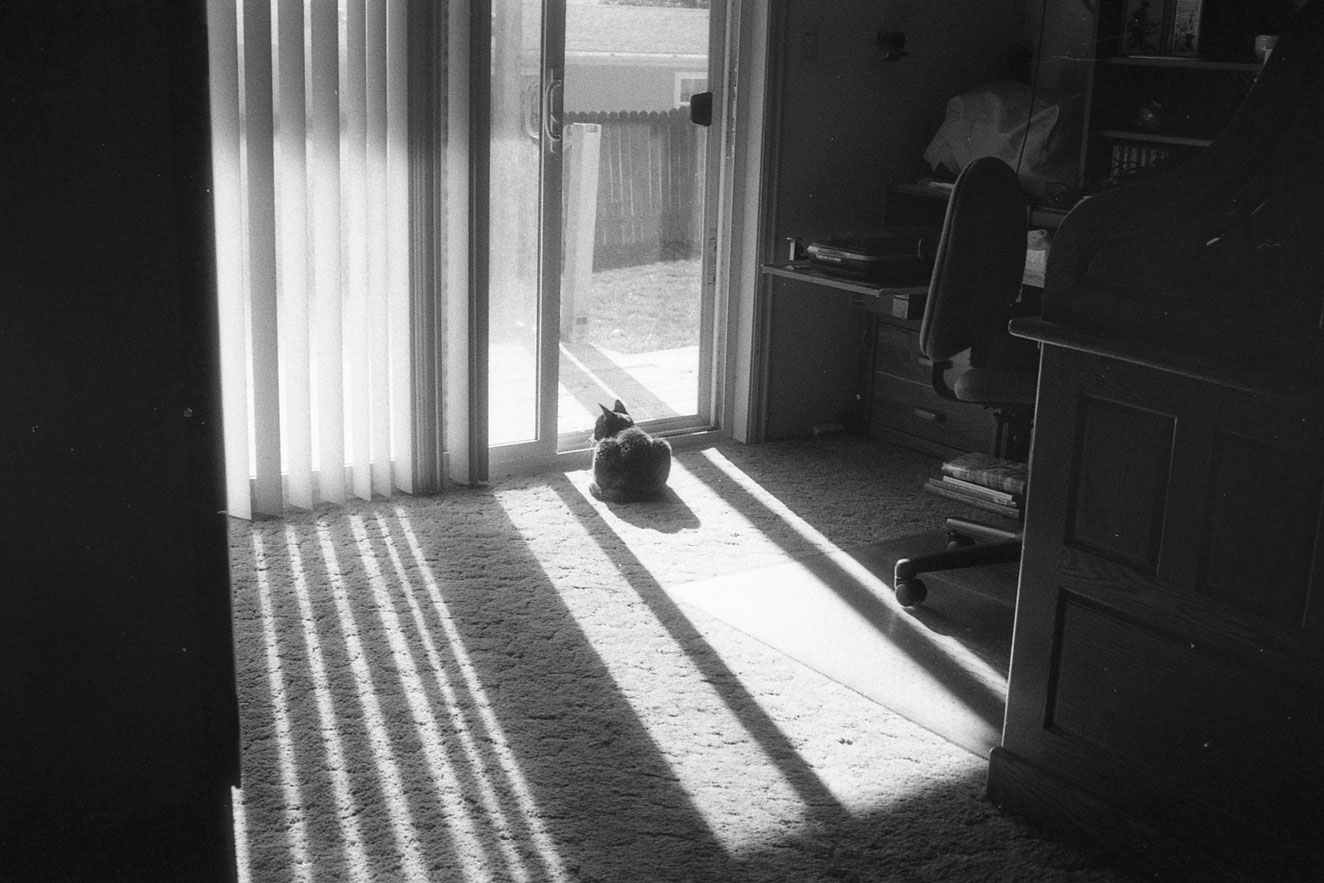 Looking-for-Halation.jpg