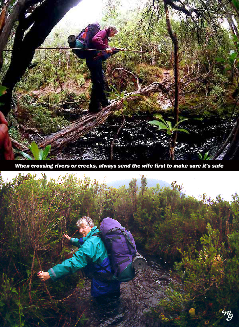 Louisa Creek (2).jpg