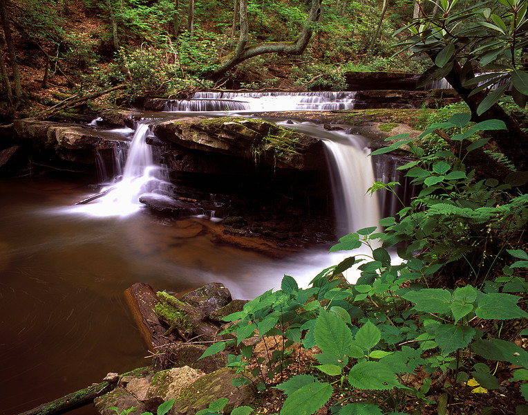 Lower Clinch Falls-L.jpg