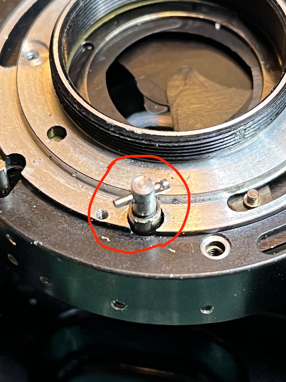 Lynx-winding pin - 1.jpeg
