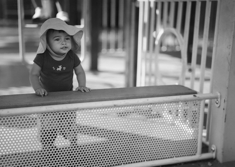 M,5x7graflex,2008.jpg