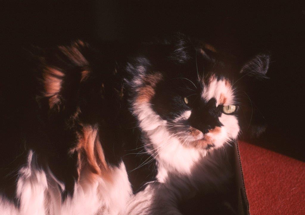 Margot E-1-2 email.jpg