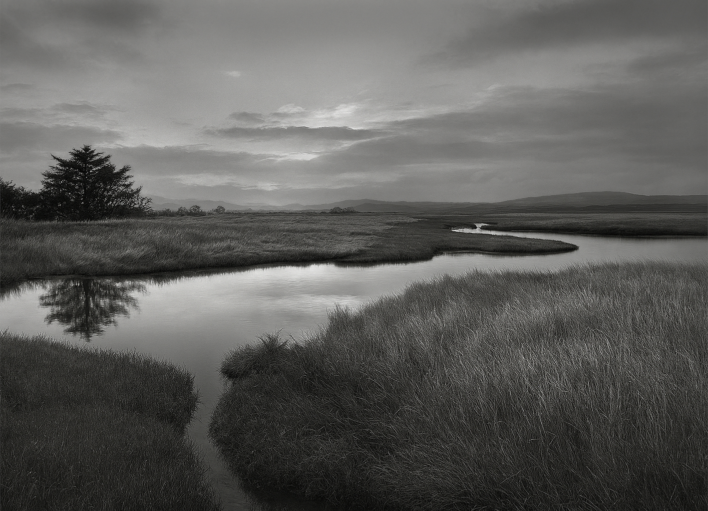 Marsh, Dusk, Ireland.jpg
