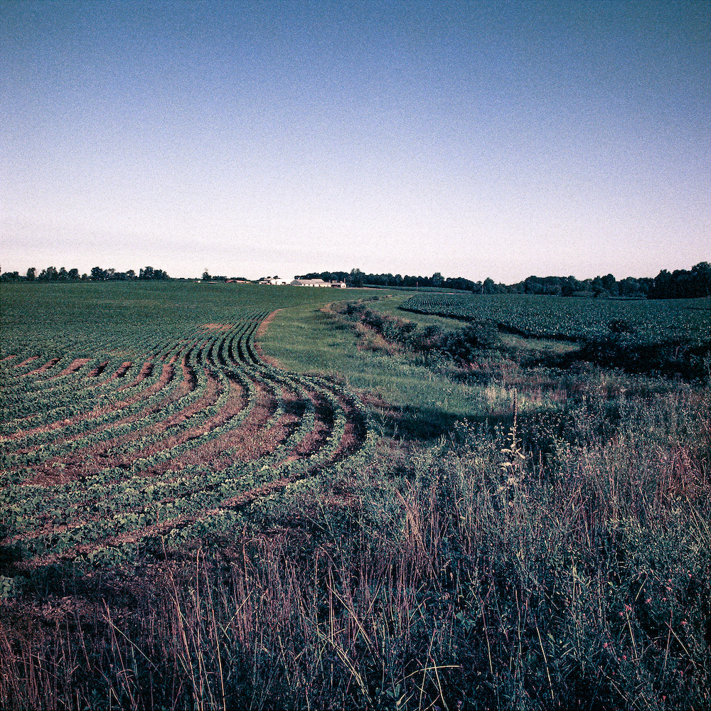 mccr006.jpg