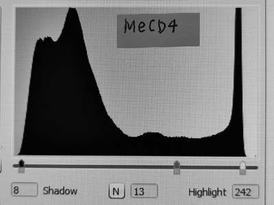 MeCD4 histogram.jpg