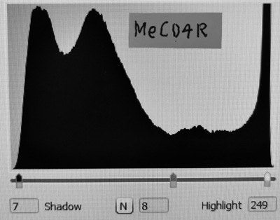 MeCD4R histogram.jpg