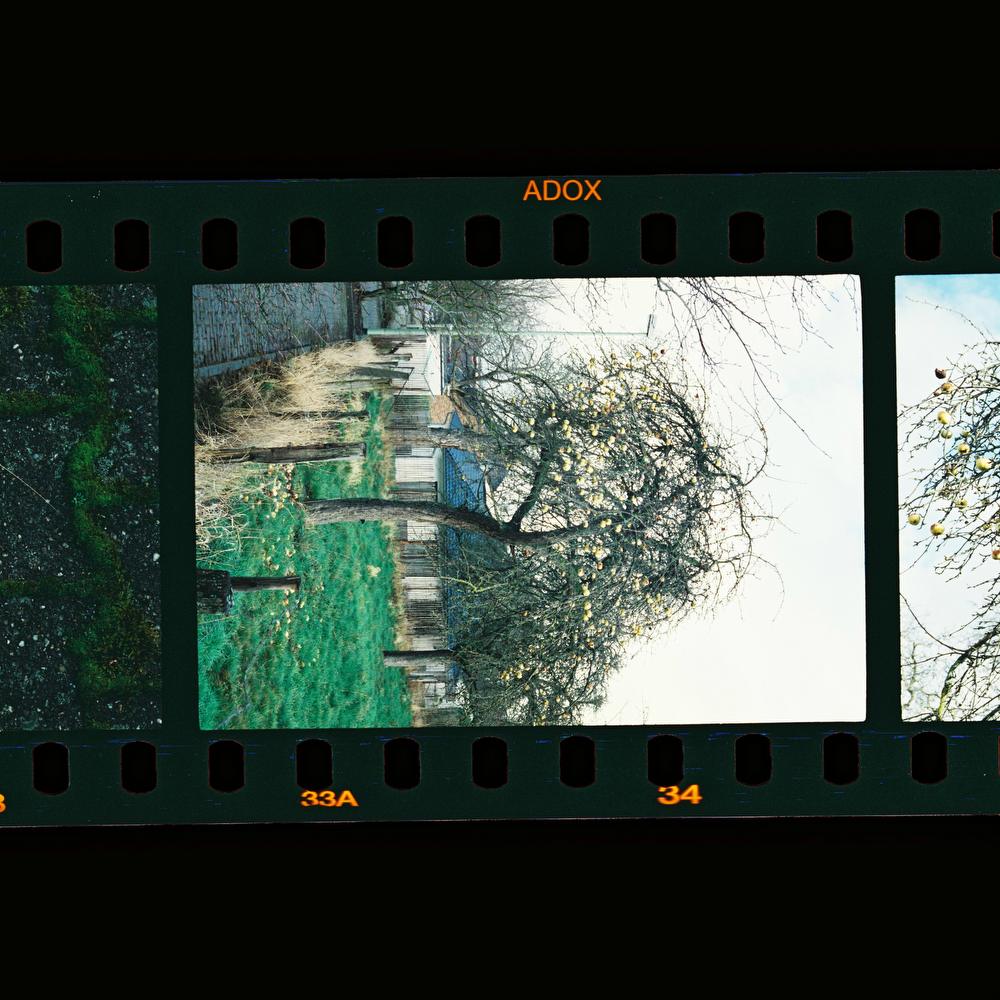MeinFilmLab-ColorMission-sprocket01.jpg